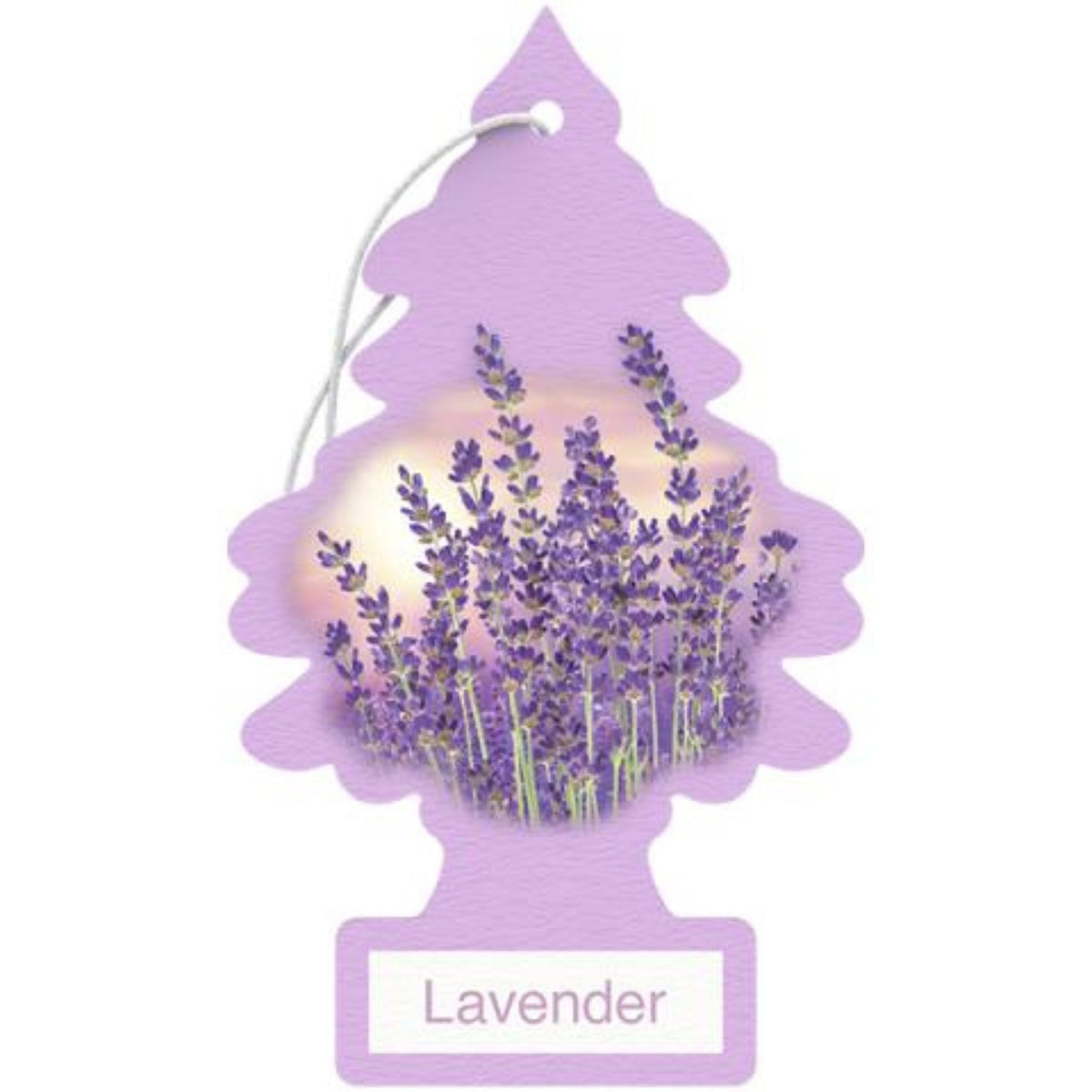 Little Trees Lavender