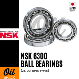 NSK 6300 Ball Bearings | ZZ, DD, OPEN Types